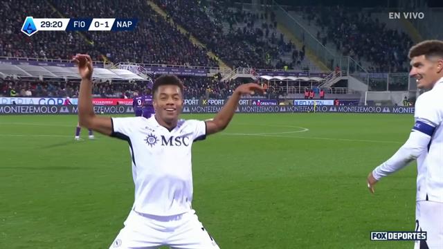 Gol, Fiorentina 0-1 Napoli: Serie A