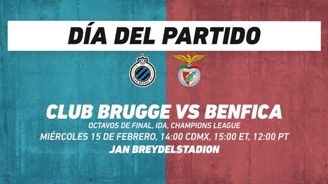 Brugge vs Benfica, frente a frente: Champions League